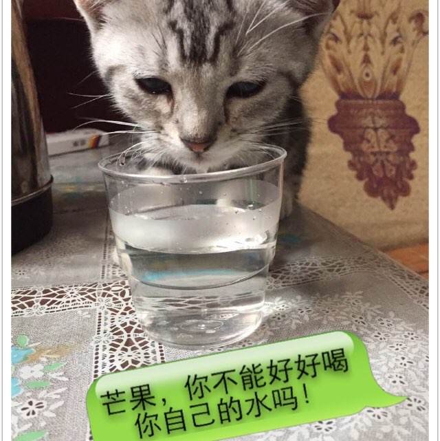 房产证减未成年子女名字流程